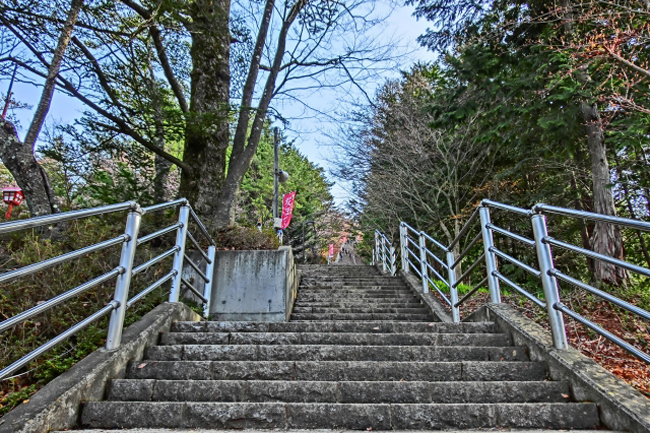 398段の階段【咲くや姫階段】