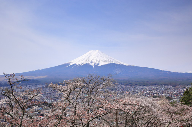 階段の途中から【富士山の絶景】