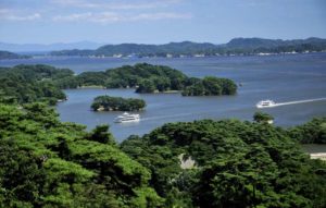 パリコレクション 宮城県を代表する観光スポットの松島【松島湾観光遊覧船】 絵画