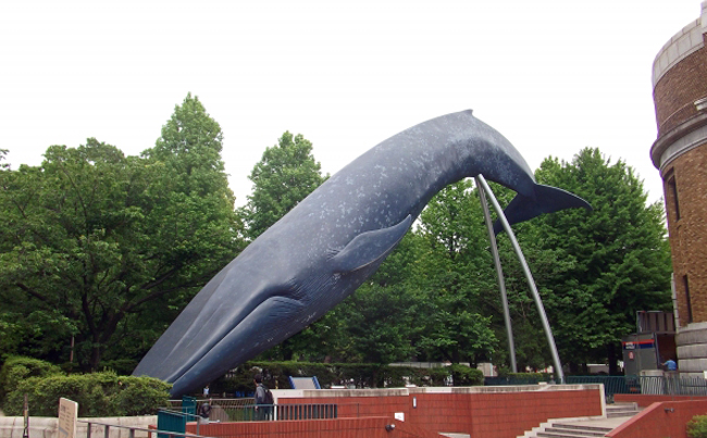 シロナガスクジラの像【屋外展示】