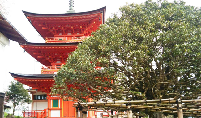 金剛界大日如来坐像を安置する【三重塔】